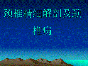 颈椎精细解剖及颈椎病.ppt
