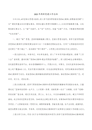 2023年两新党建工作总结.docx