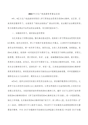 2022年文化广电旅游体育普法总结.docx