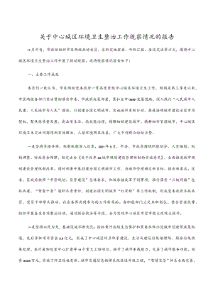 2023年关于中心城区环境卫生整治工作视察情况的报告.docx