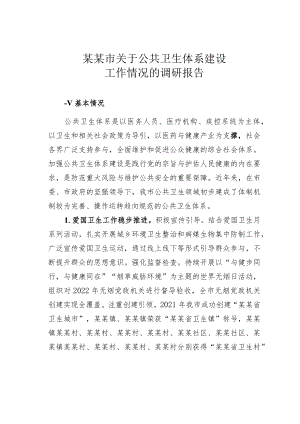 某某市关于公共卫生体系建设工作情况的调研报告.docx