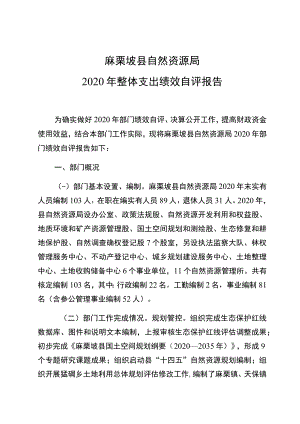 麻栗坡县自然资源局2020年整体支出绩效自评报告.docx