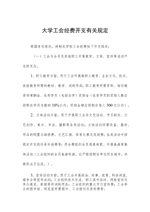 大学工会经费开支有关规定.docx