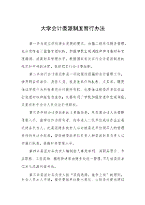 大学会计委派制度暂行办法.docx