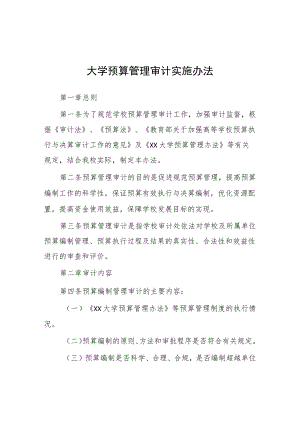 大学预算管理审计实施办法.docx