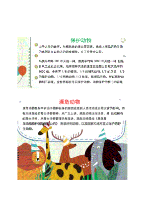 关爱动物小报保护爱护善待野生动物A4电子手抄报小报.docx