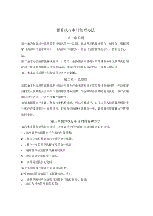 预算执行审计管理办法.docx