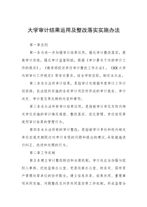 大学审计结果运用及整改落实实施办法.docx