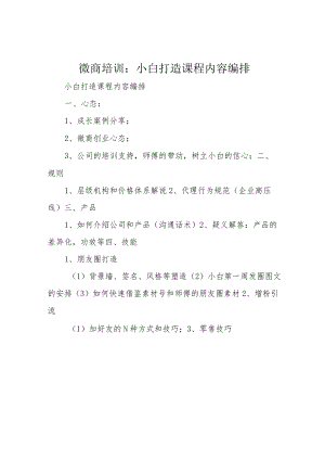 微商培训：小白打造课程内容编排.docx