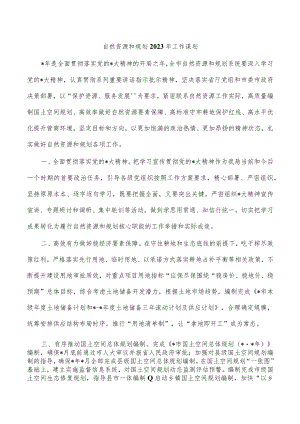 自然资源和规划2023年工作谋划.docx