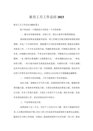 新员工月工作总结2023.docx
