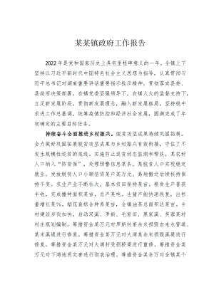 某某镇政府工作报告.docx