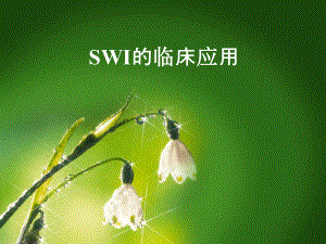 SWI的临床应用.ppt