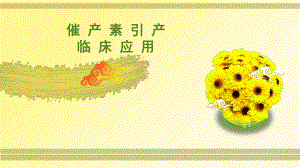 催产素引产临床应用.ppt