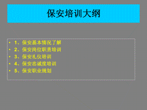 保安员培训资料.ppt