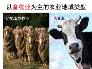 以畜牧业为主的农业地域类型.ppt