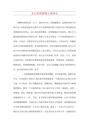 支行挂职锻炼心得体会.docx