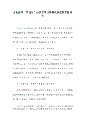 企业推动“四精准”的员工培训培养机制建设工作报告.docx