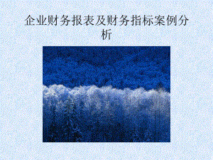 企业财务报表及财务指标案例分析CC.ppt
