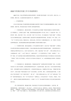 2022年度基层党建工作专项述职报告.docx