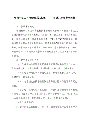 医院分层分级督导体系——概述及运行要点.docx