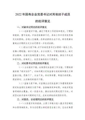 2022年国有企业党委书记对其他班子成员的批评意见.docx