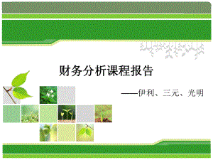 伊利财务分析.ppt