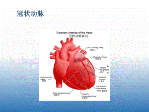 冠心病的常规护理.ppt