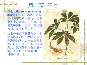 [药用植物栽培学]三七栽培技术.ppt
