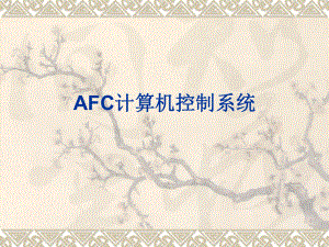 AFC计算机系统.ppt