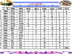 51单片机复习要点.ppt