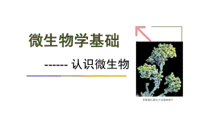 1.微生物概述.ppt