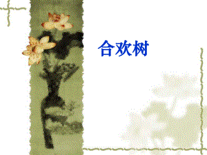 9.合欢树多媒体课件ppt.ppt