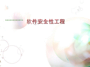 软件安全工程.ppt