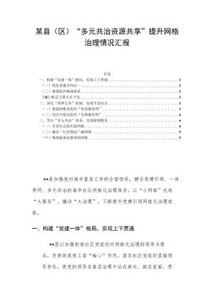 某县（区）“多元共治资源共享”提升网格治理情况汇报.docx