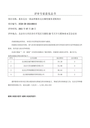 评审专家意见总书.docx