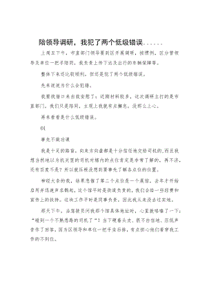 陪领导调研我犯了两个低级错误.docx