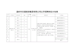 温岭市交通旅游集团有限公司公开招聘岗位计划表.docx