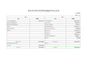 重庆市巴南区鱼洞街道2022年收支总表.docx