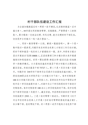 村干部队伍建设工作汇报.docx