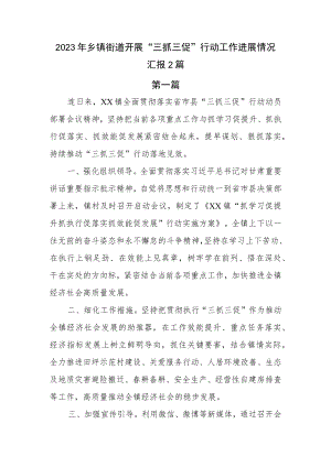 2篇2023年乡镇街道开展“三抓三促”行动工作进展情况汇报.docx
