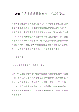 2023县文化旅游行业安全生产工作要点.docx
