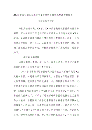 XX分管农业副区长落实市委巡察组反馈意见整改专题民主生活会发言提纲.docx
