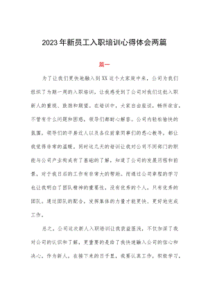 2023年新员工入职培训心得体会两篇.docx