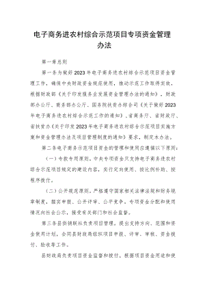 电子商务进农村综合示范项目专项资金管理办法.docx