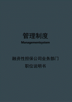 融资性担保公司业务部门职位说明书.docx