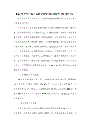 2023年度乡村振兴战略实施情况调研报告.docx