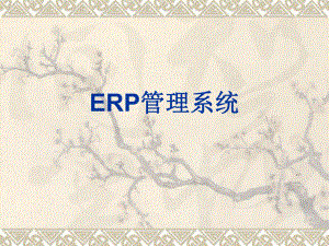ERP管理系统.ppt