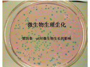 pH对微生物的影响.ppt
