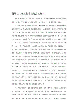 发展壮大村级集体经济经验材料.docx